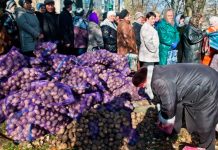 заманивать на выборы