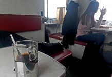 ЖД ОРДЛО